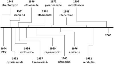 Addressing the Challenges of Tuberculosis: A Brief Historical Account